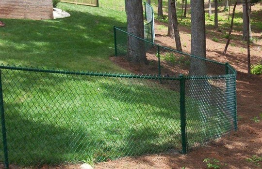 Chain Link Fences