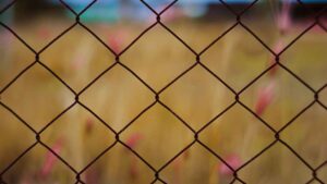 Fance during sunset dalton 